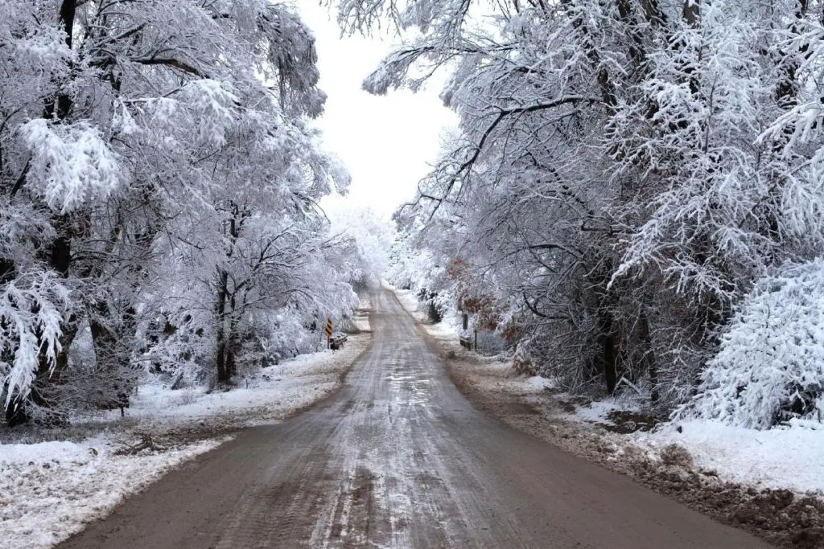 Taos Goji Farm & Eco-Lodge Retreat