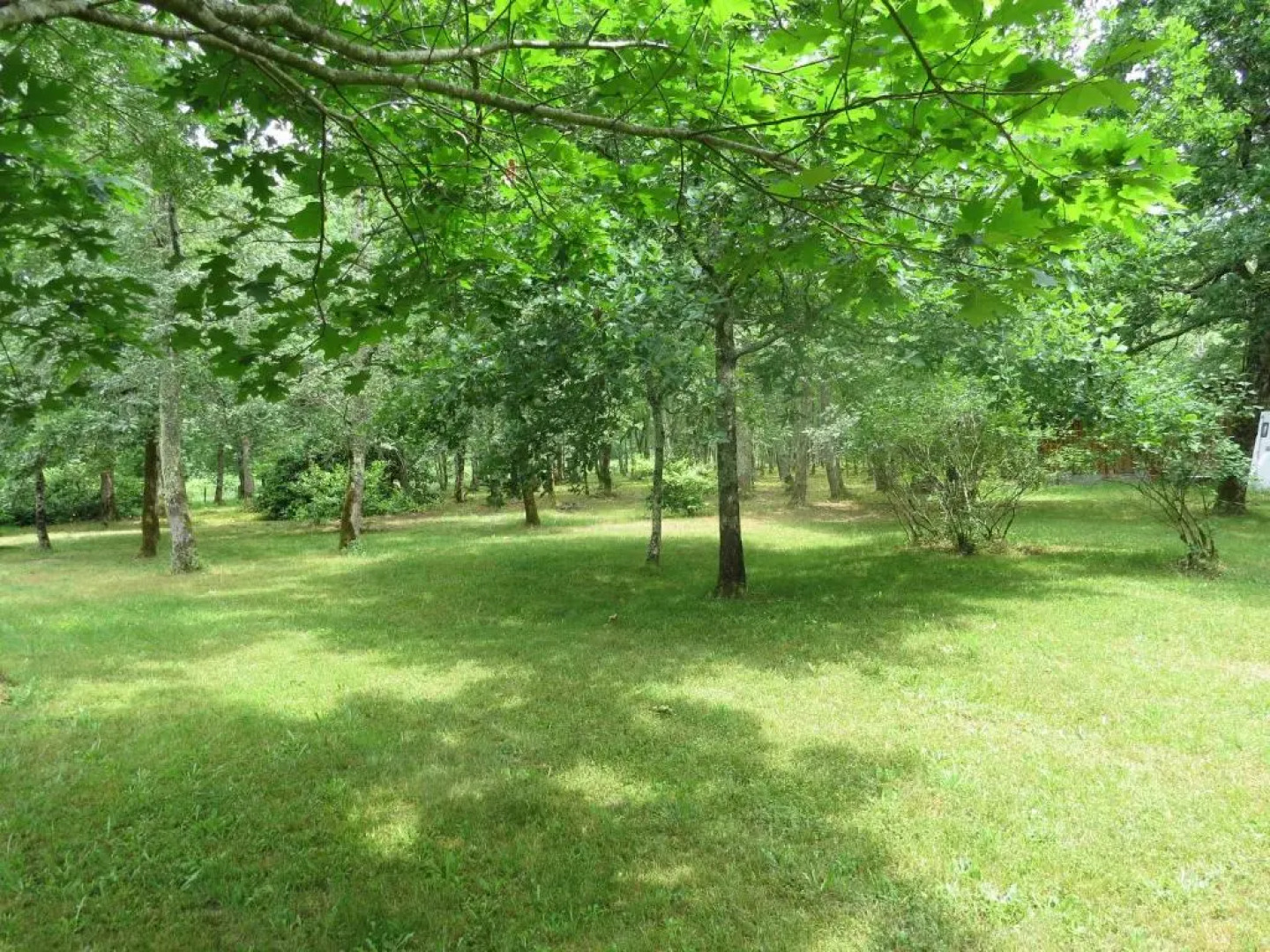 Les Maisons de Léon