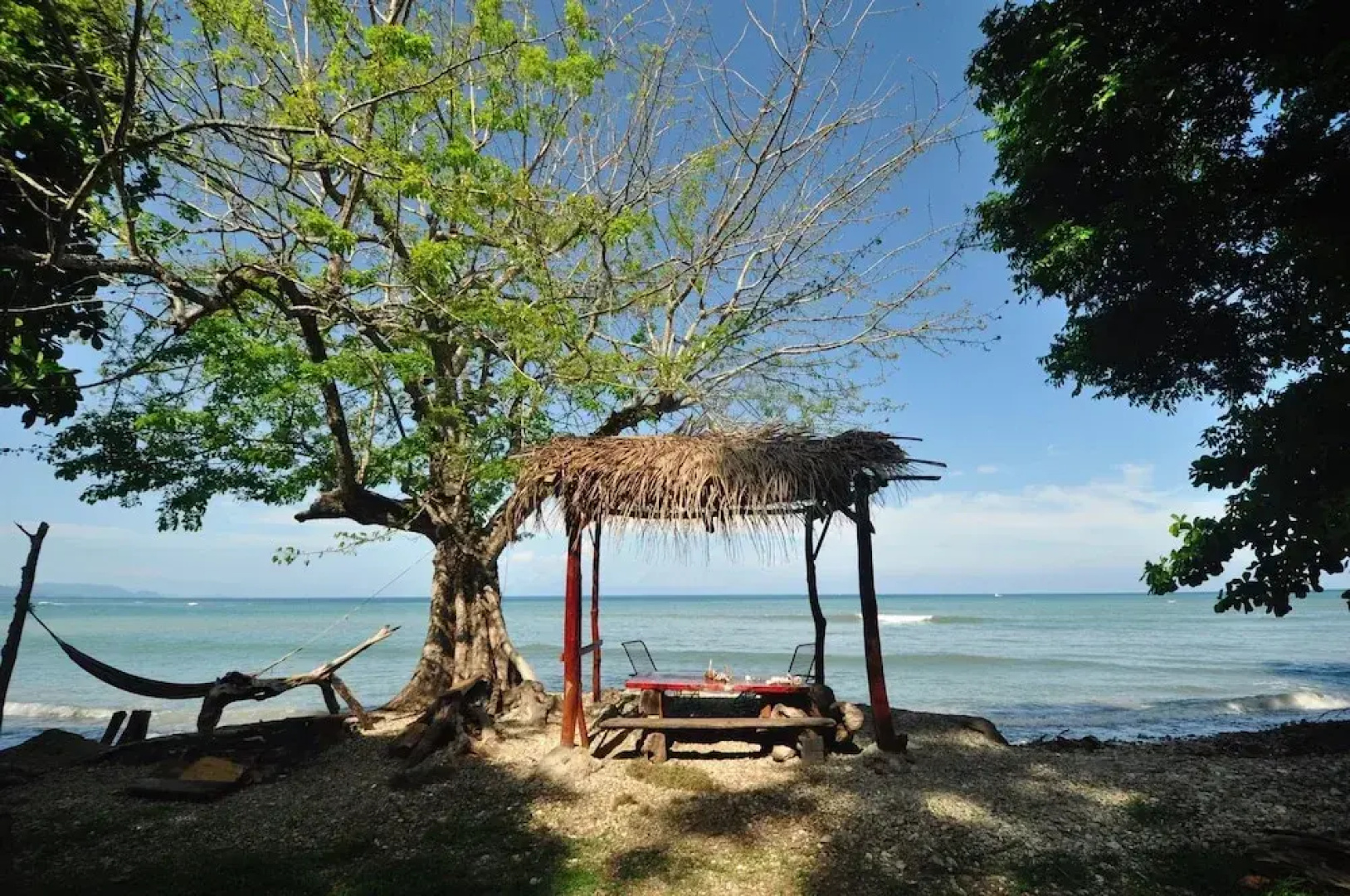 The Howler Monkey Hotel