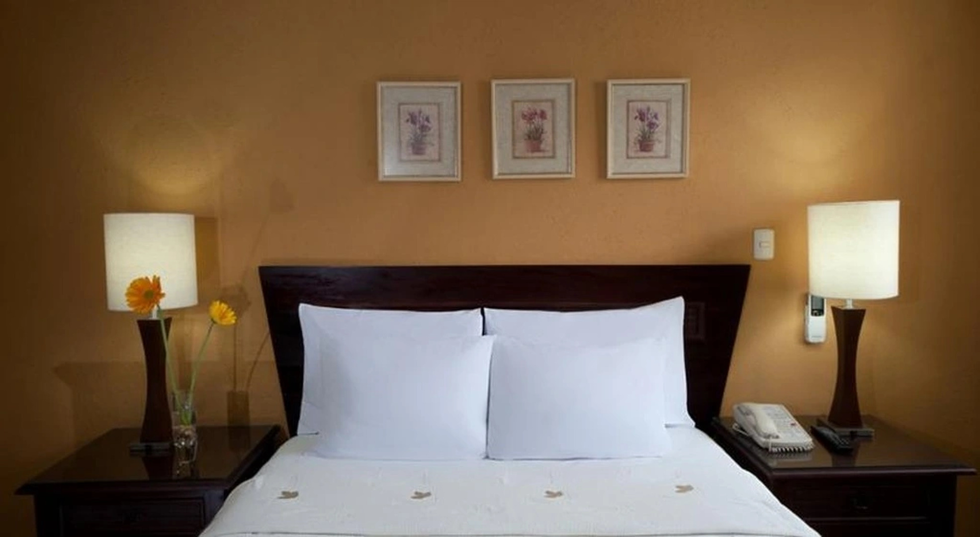 Centro Plaza Hodelpa