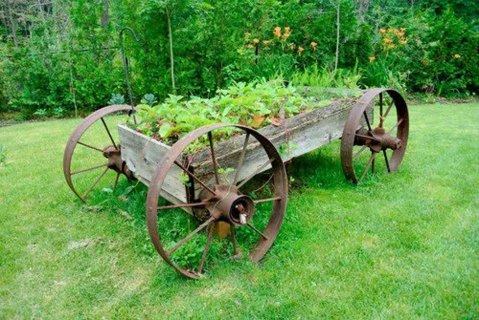 The Muskoka Rose Guest House & Retreat