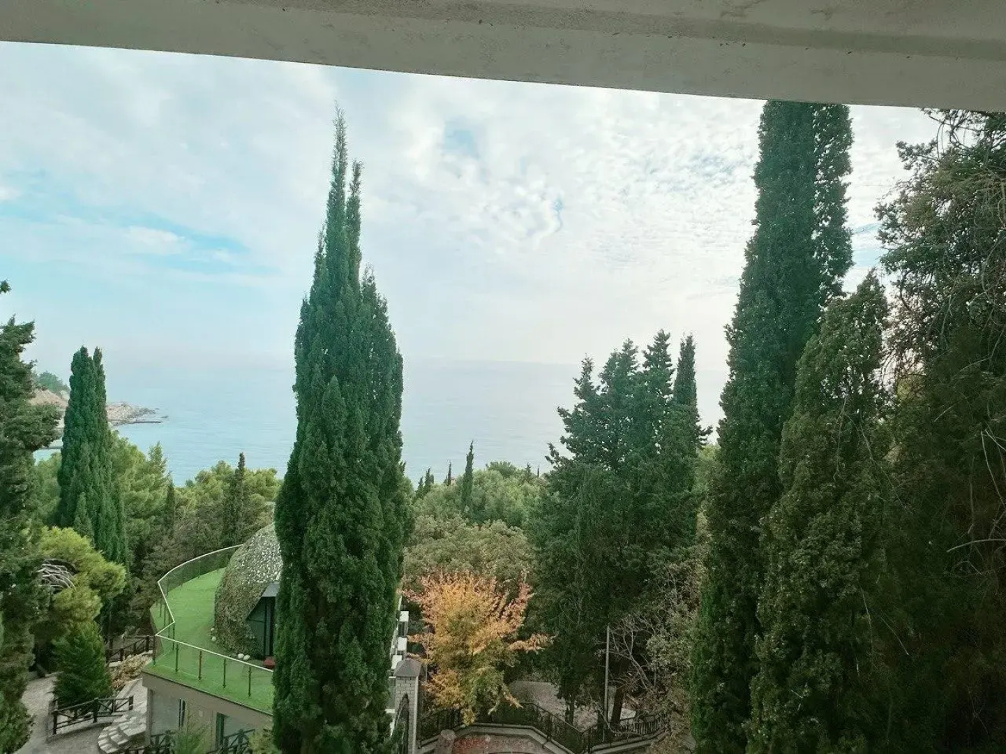 Милана, Алёна, Варвара, Елена