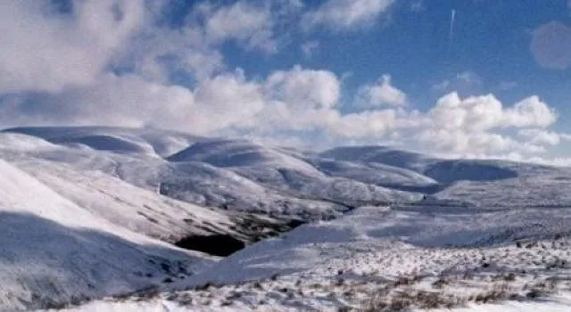 Limetree House Guest House