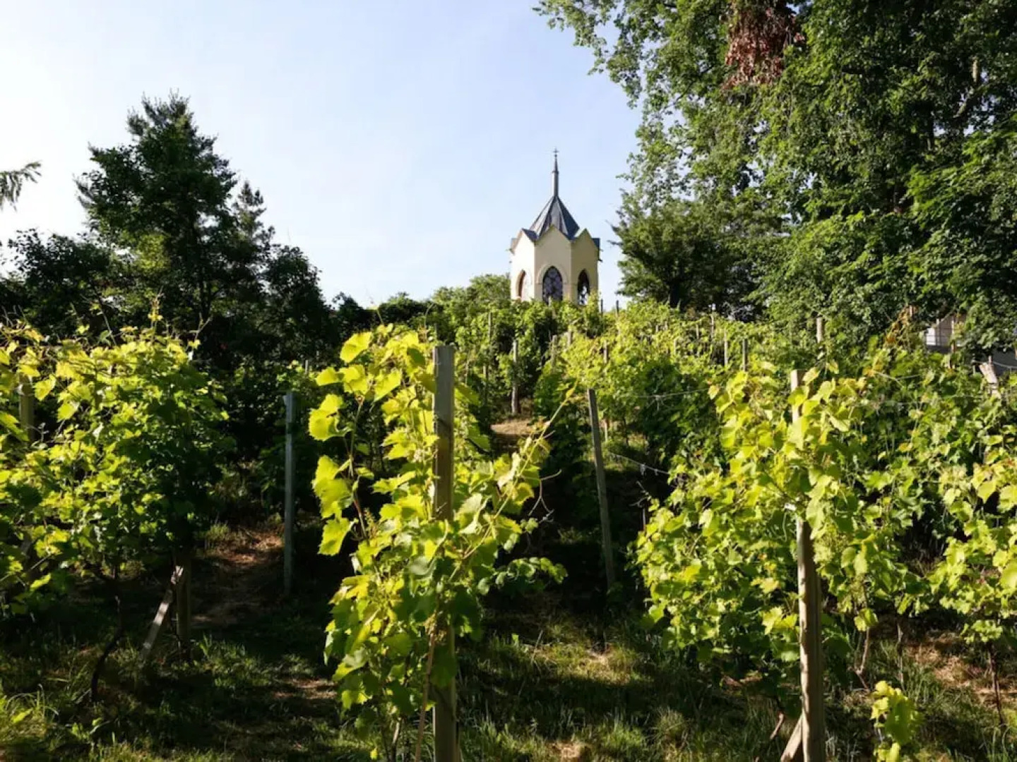 Holiday Apartment Remise - Loft