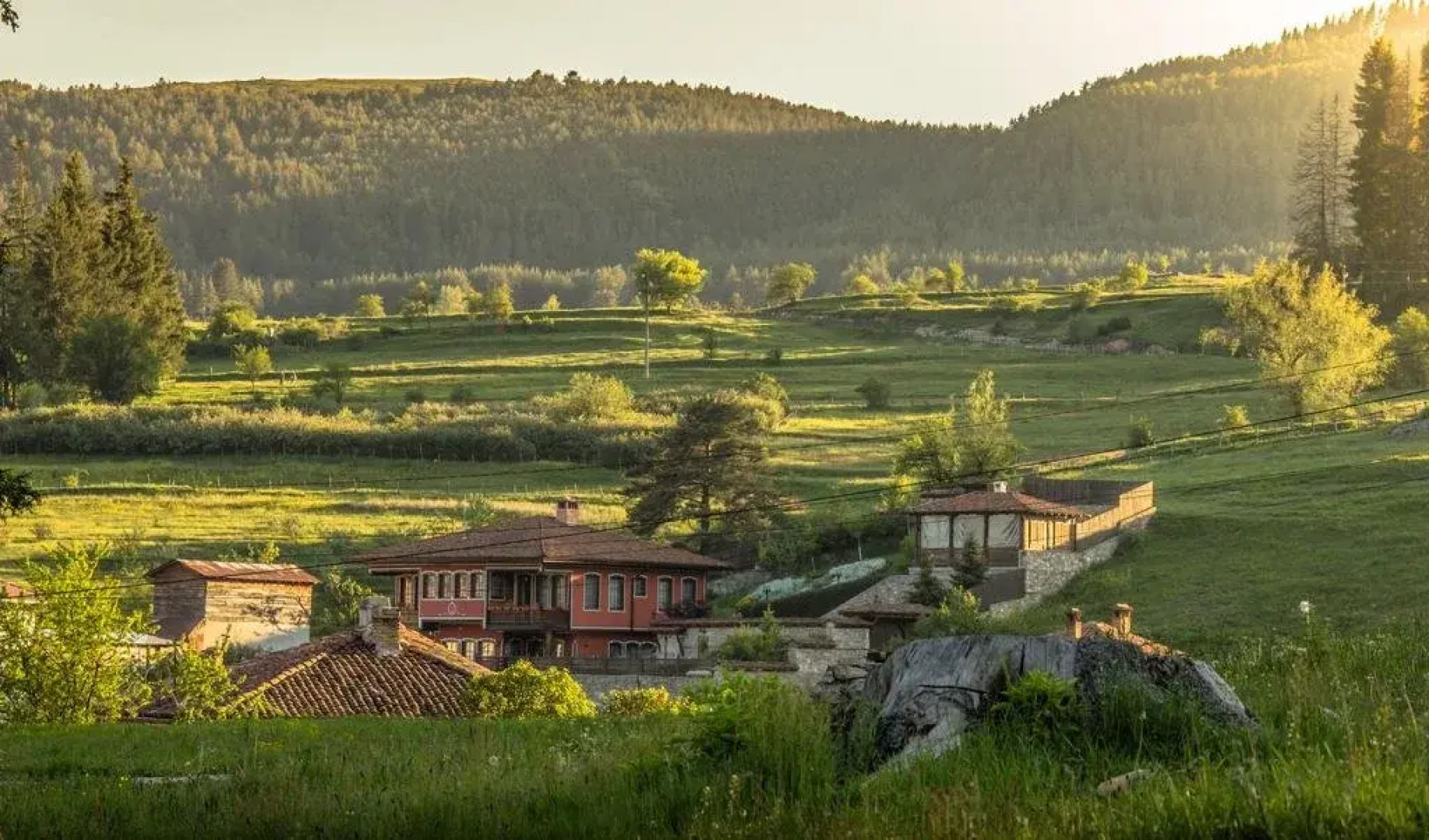 Zlatniyat Telets Guest Rooms