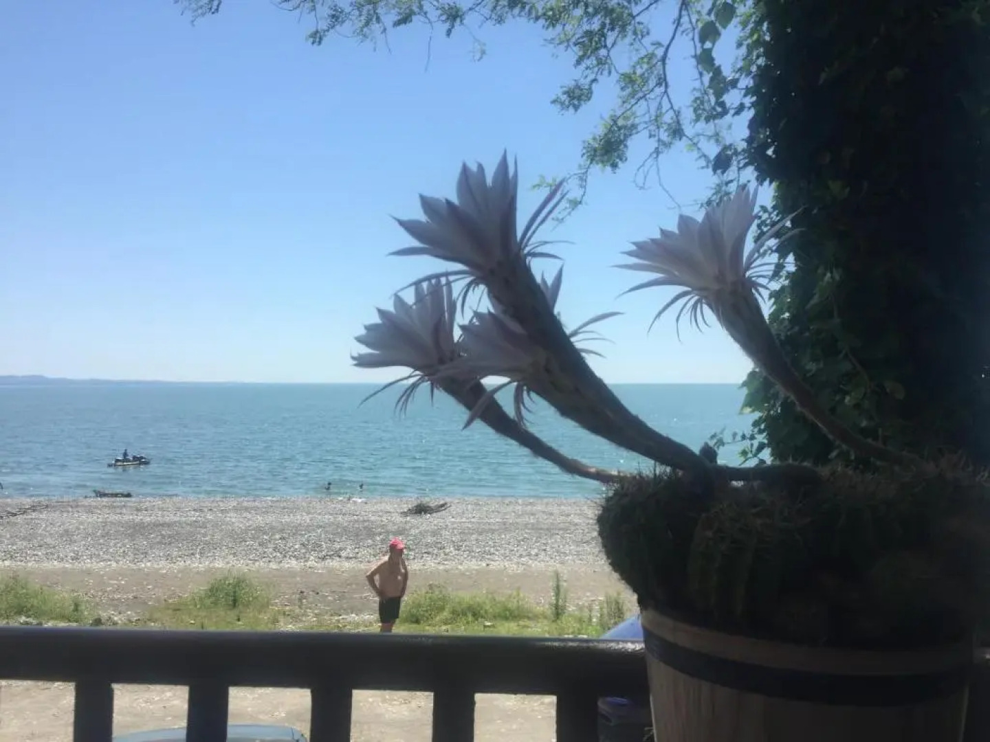 Guest House Morskaia 62