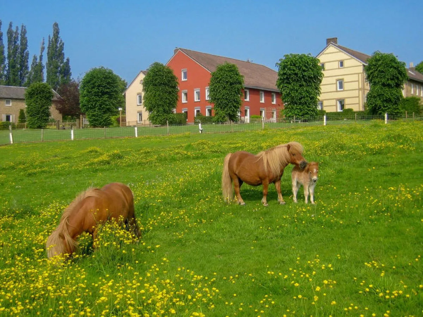 Bungalowpark Landsrade 34255