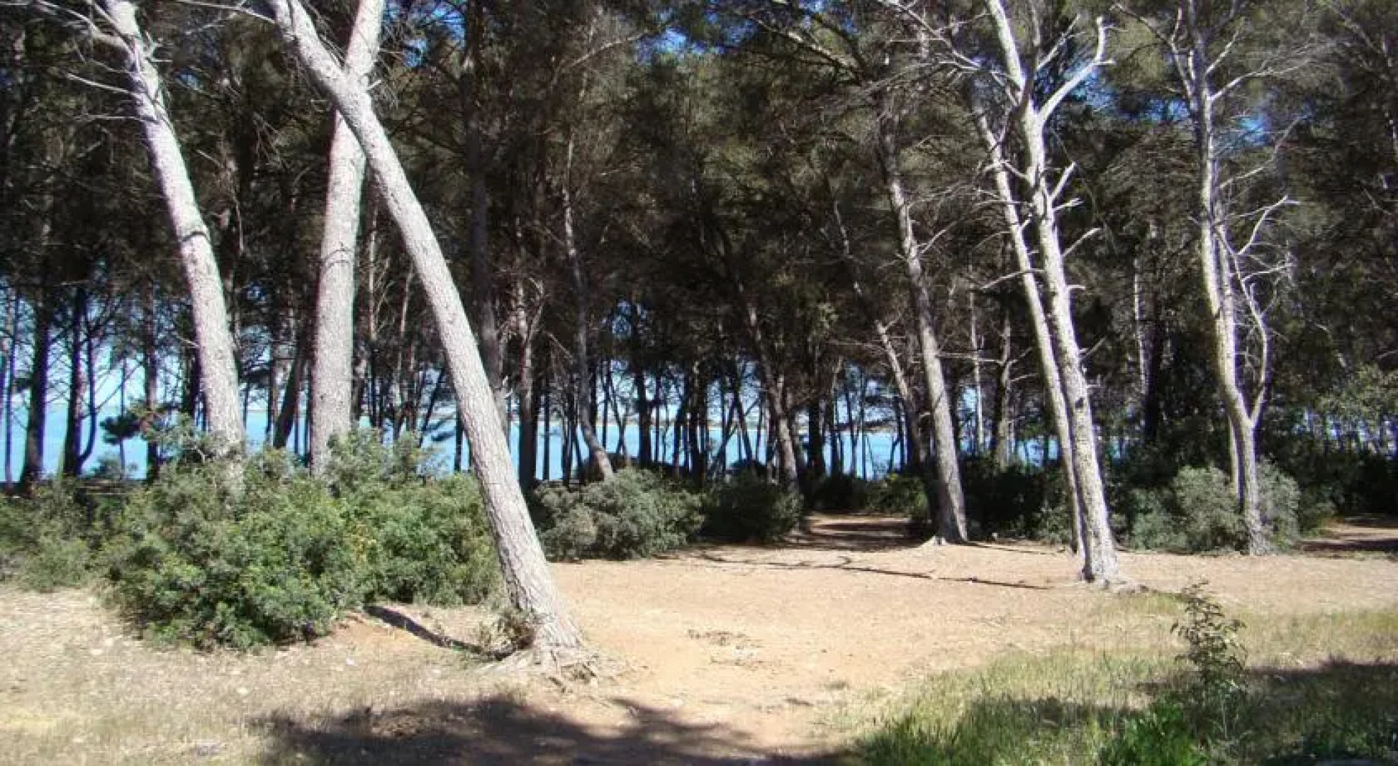 Location Villa Les Jardins de la Robine 59