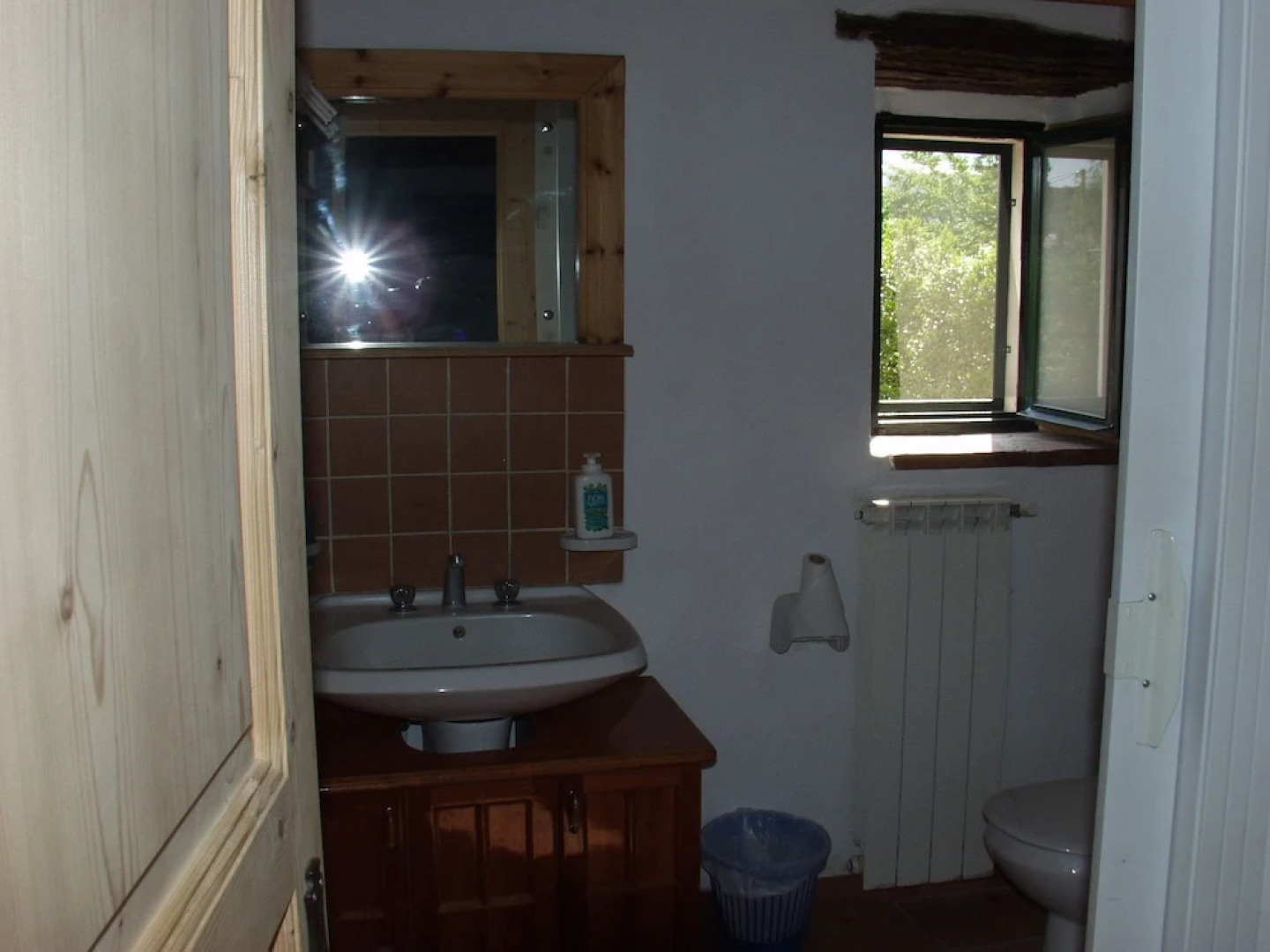 Codavolpe Giardino di Tea