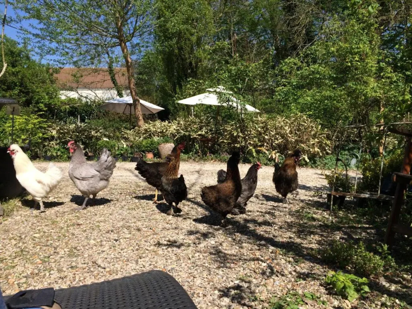 Chambres d'hôtes du Jardin Francais