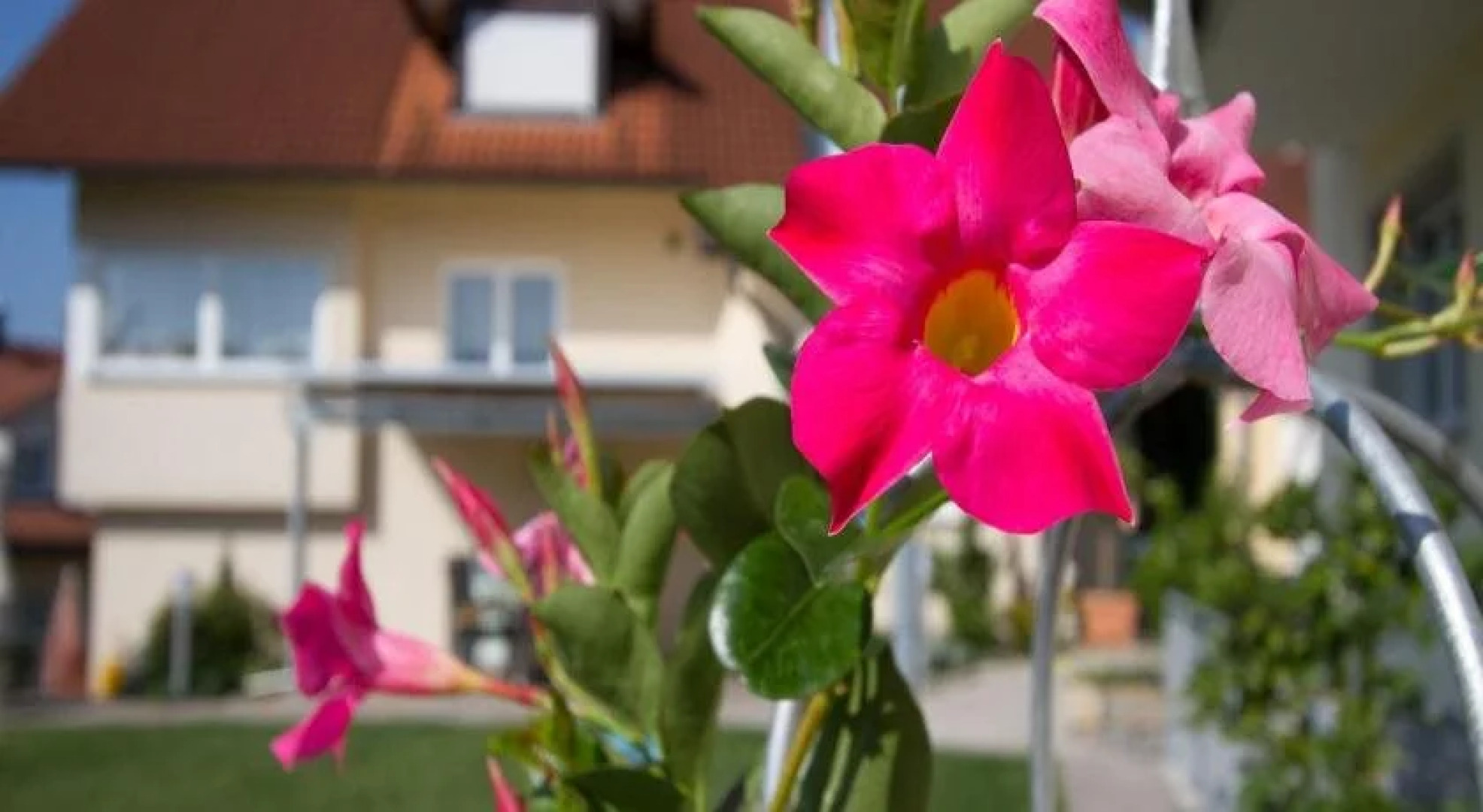 Obst- und Ferienhof Witzigmann