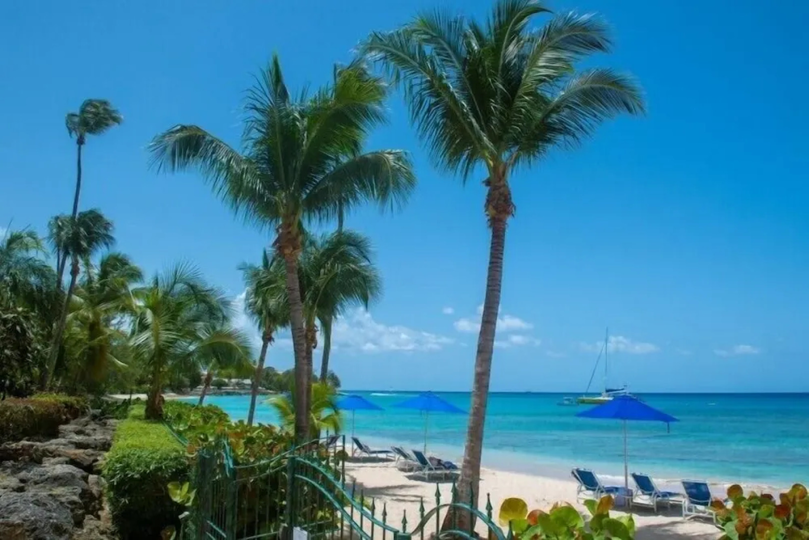 Schooner Bay 206 - Condothe Palms