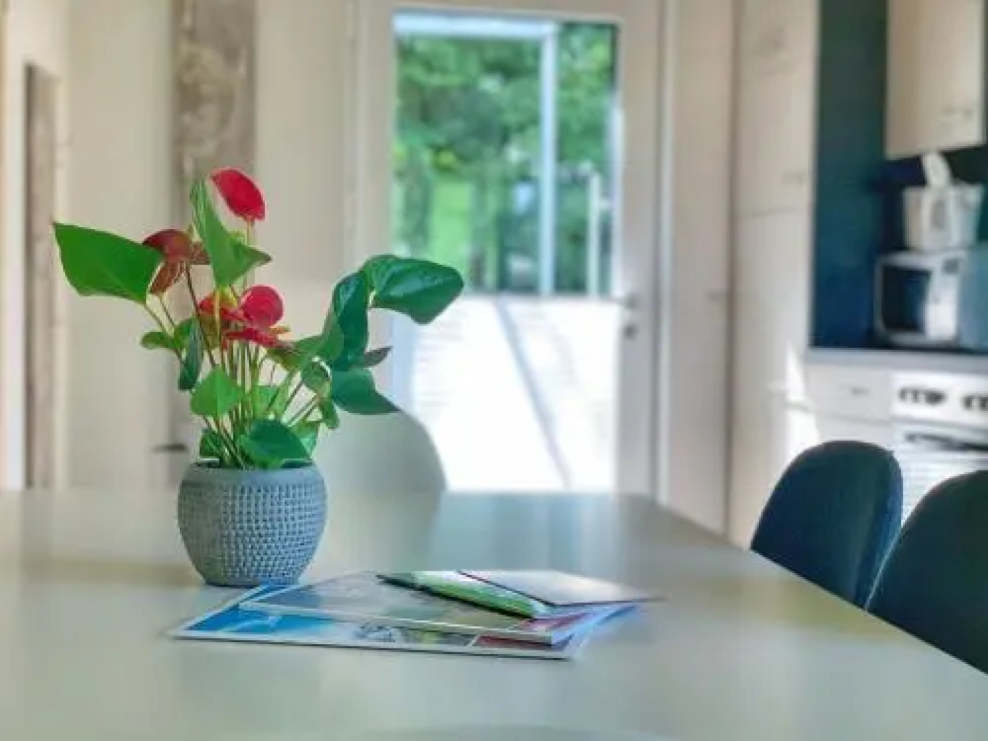 Apartment Viola Altenmarkt