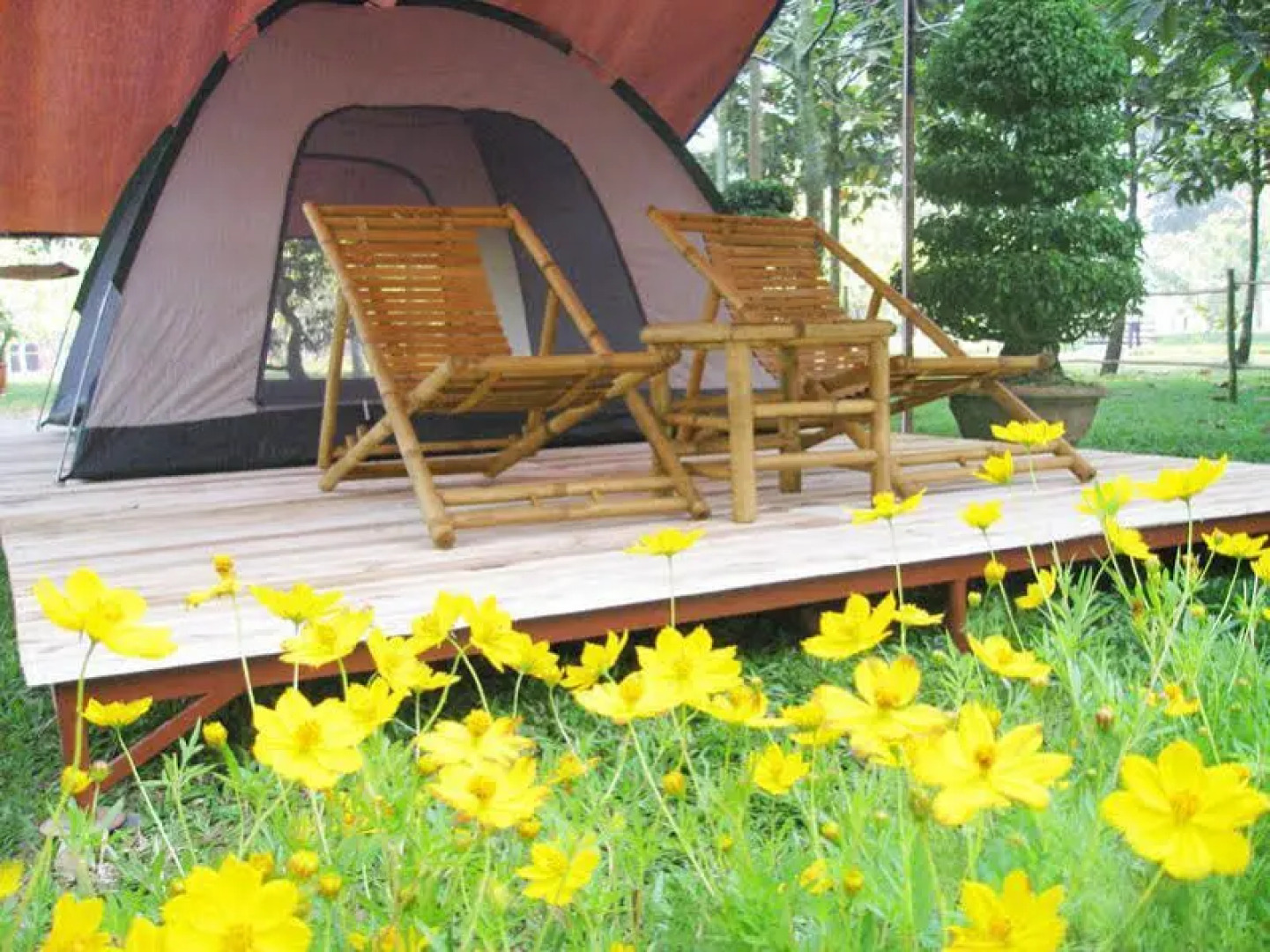 Tre Xanh Hotel - Giang Dien Park