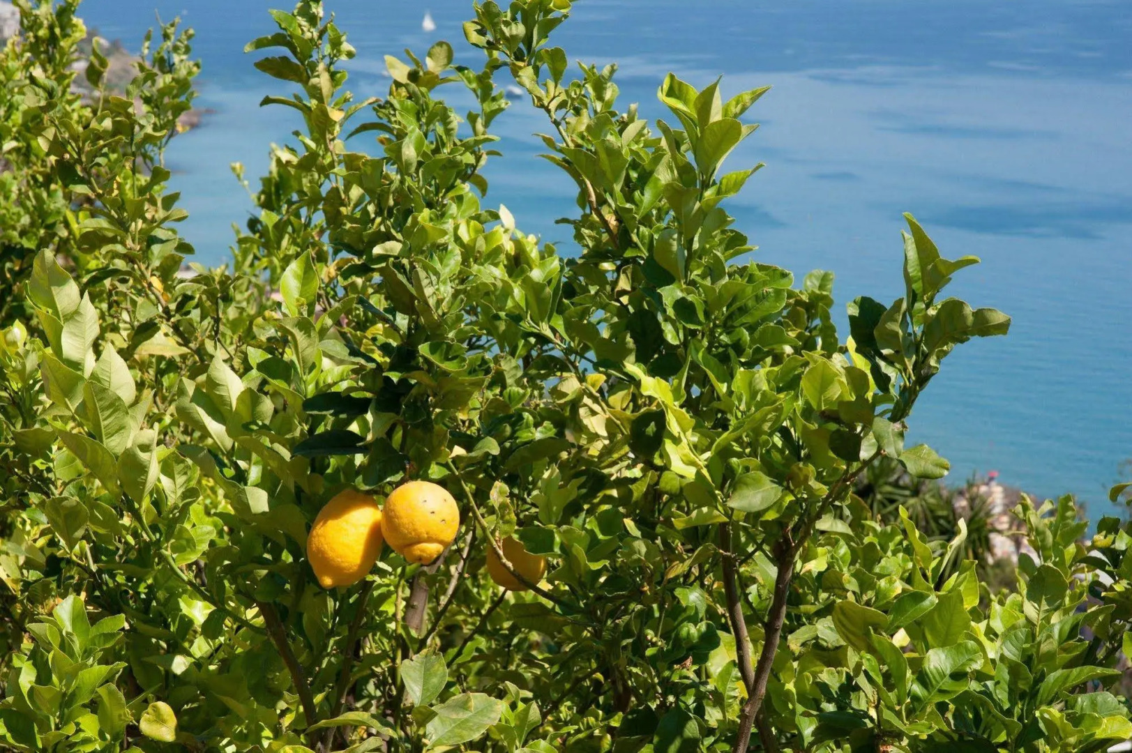 Le Terrazze Appartamenti Vacanze