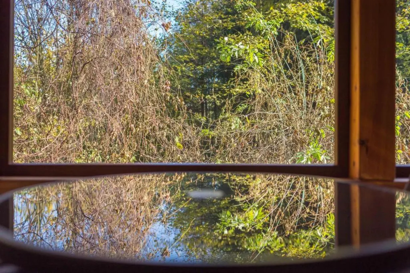 Wypoczynek pod Lipą