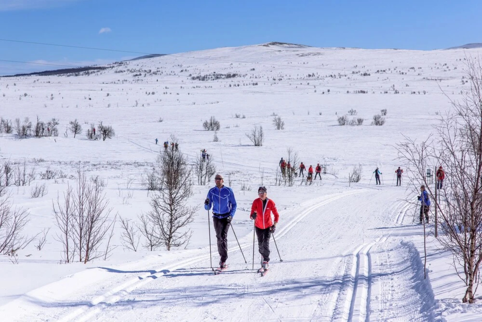 Torsetlia Fjellstue og Hyttegrend