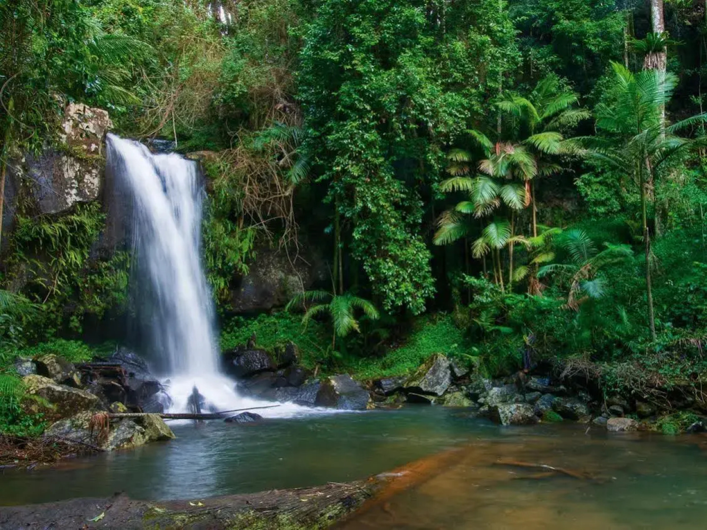 Pethers Rainforest Retreat
