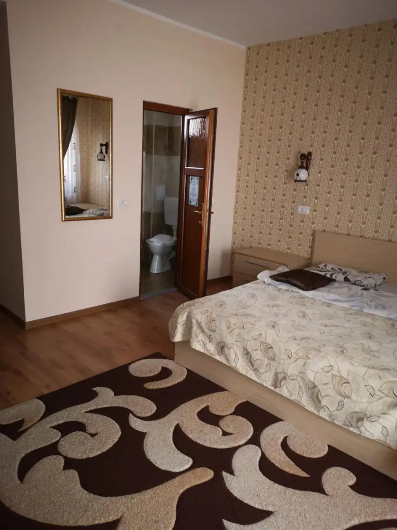 Camere-Apartament Steyna