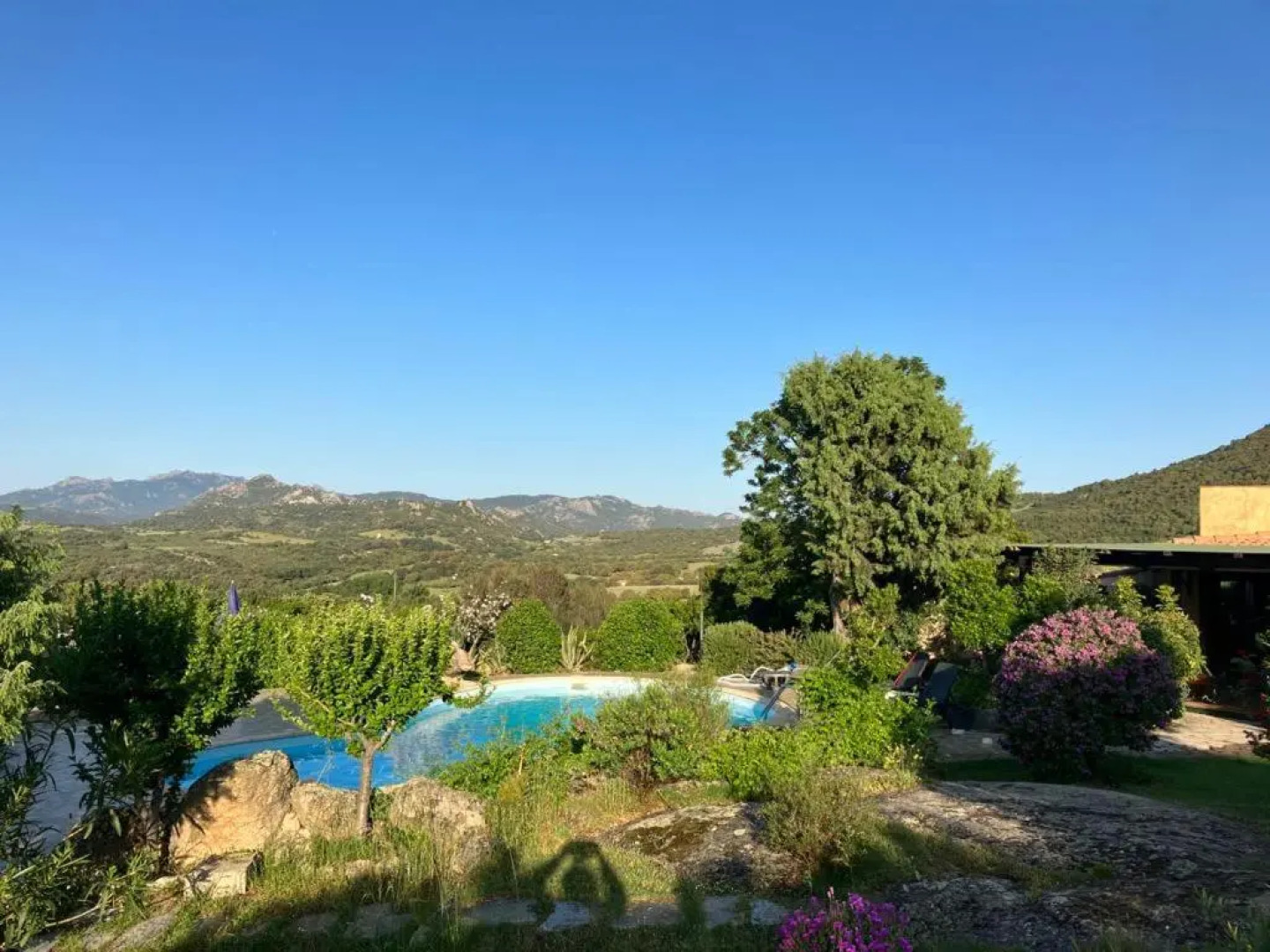 Angelo e Arcangela - Nuova Gestione 2022