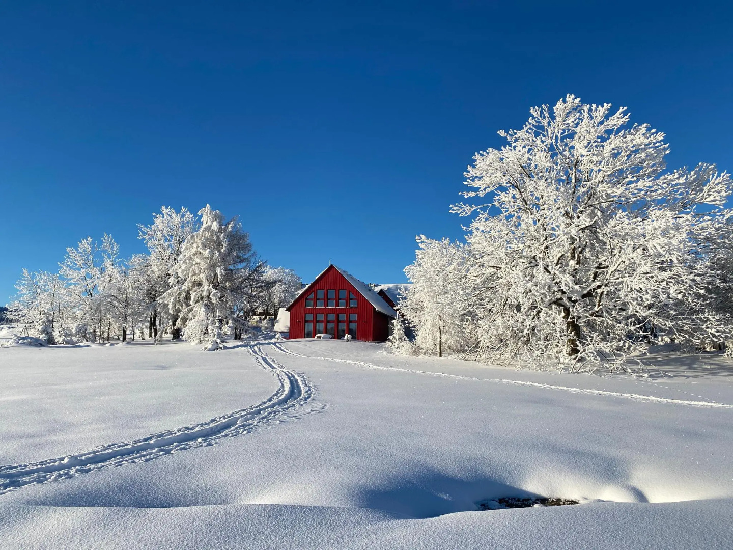Appartementhaus Zur Bergwiese