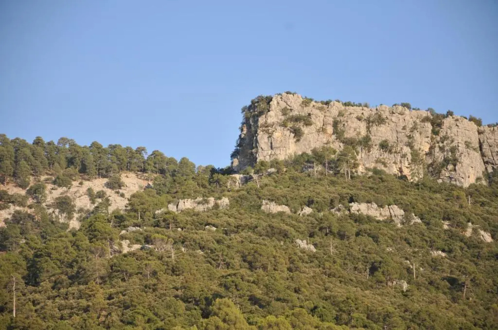 Alojamientos Rural Tejerina
