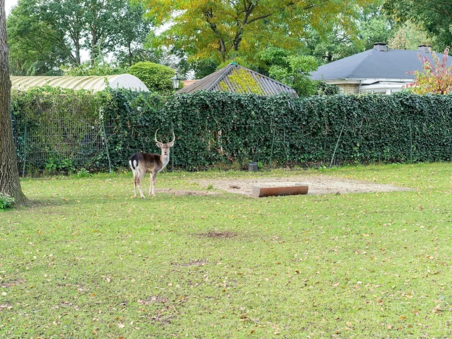 Delightful Chalet in Putten with Garden