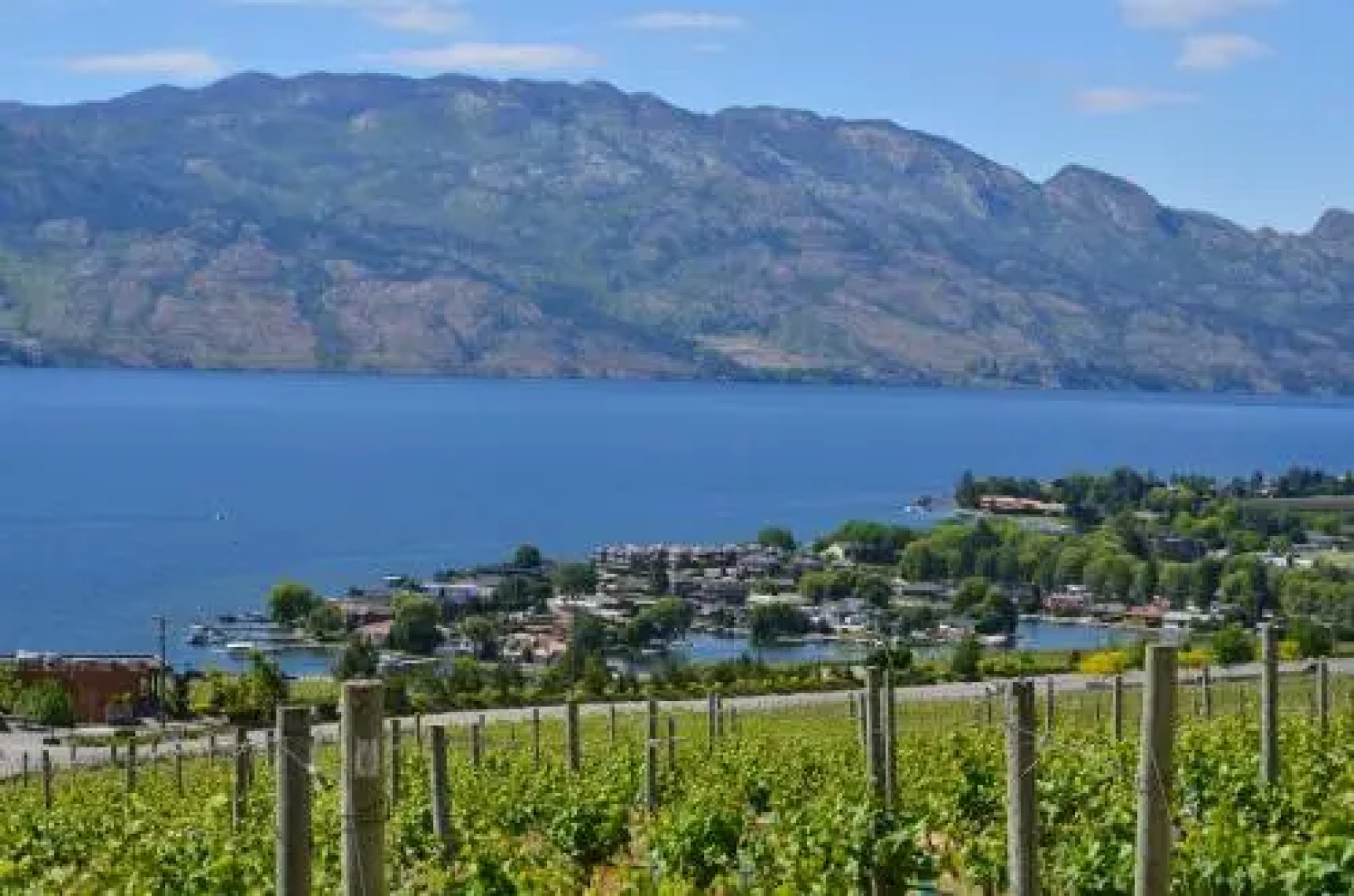 Bella Luna Bed And Breakfast