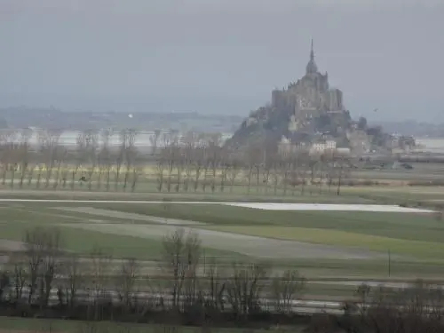 Aux Fées Des Grèves