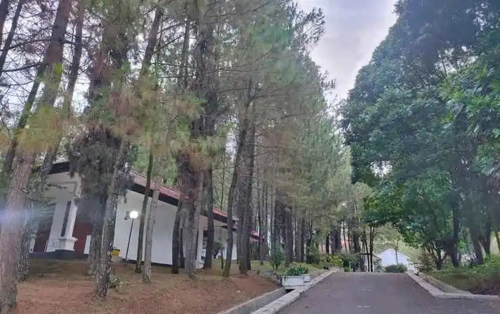 Roemah YWI by Excellence