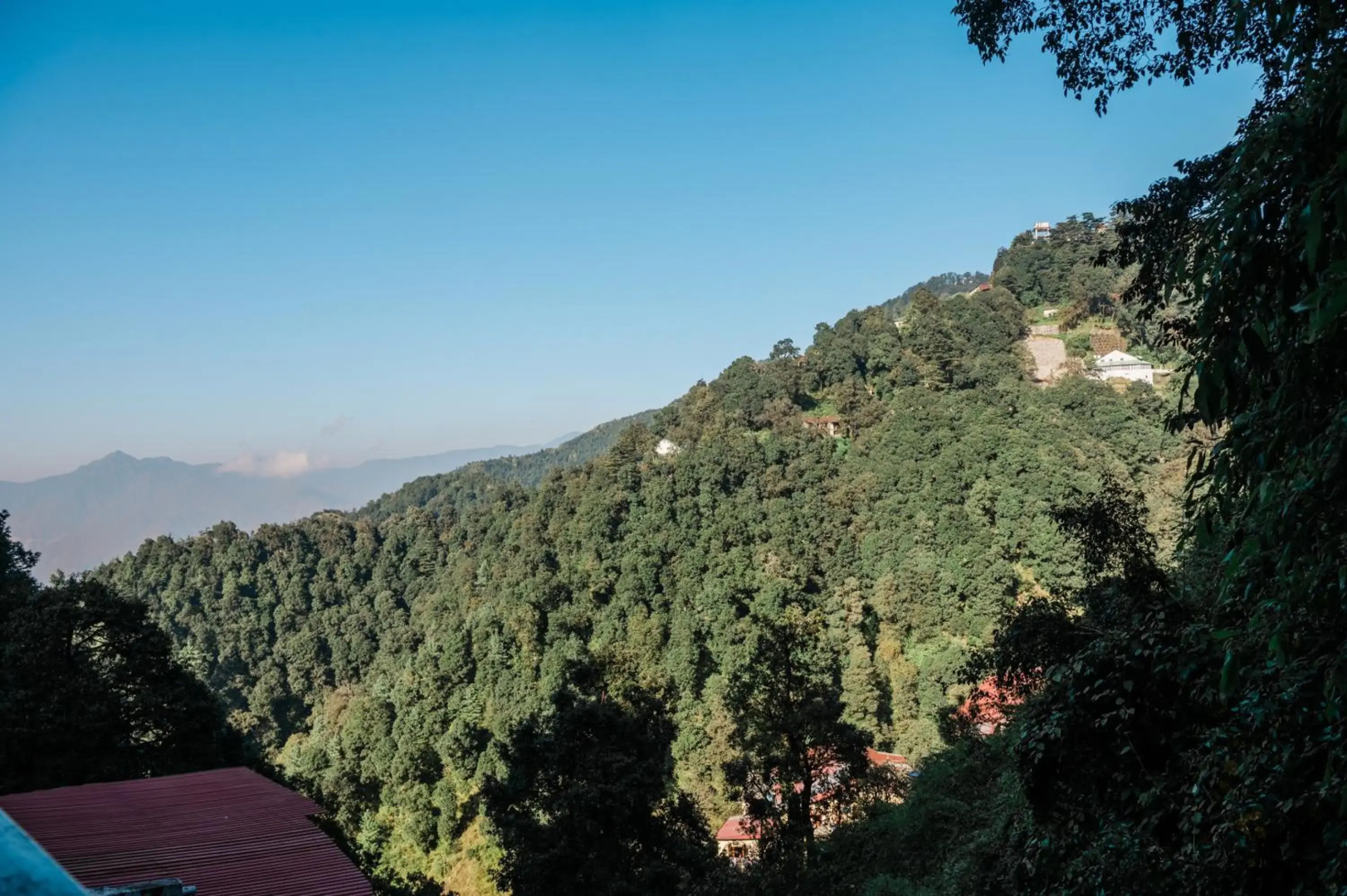 Hotel Shiva Continental