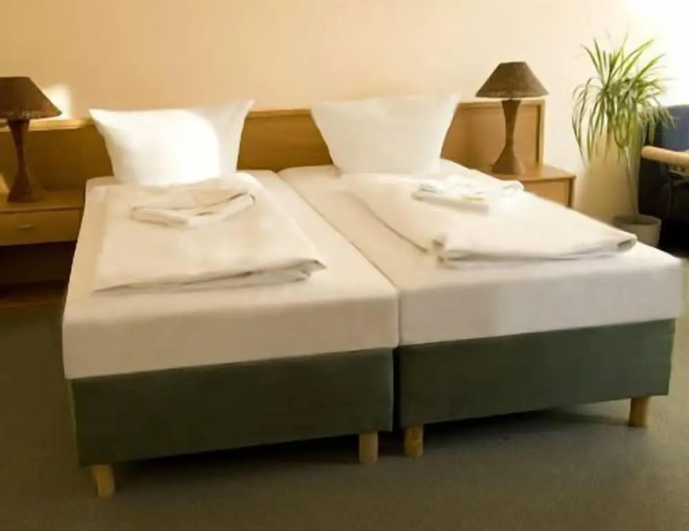 Hotel Pension Rheingold