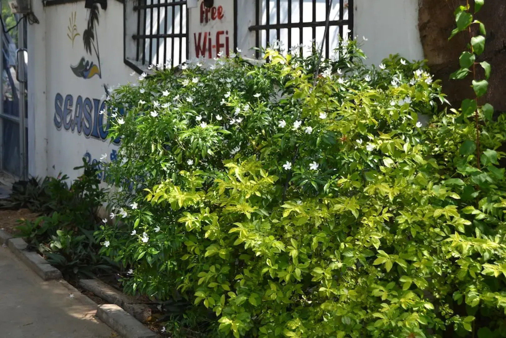 Arugambay Seaside Villa