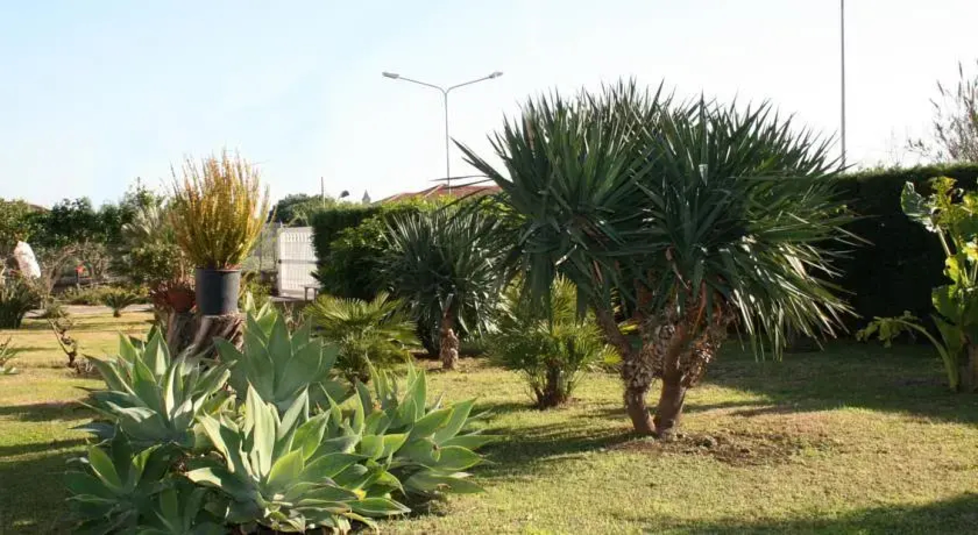 Casa Allegra Etna-Mare