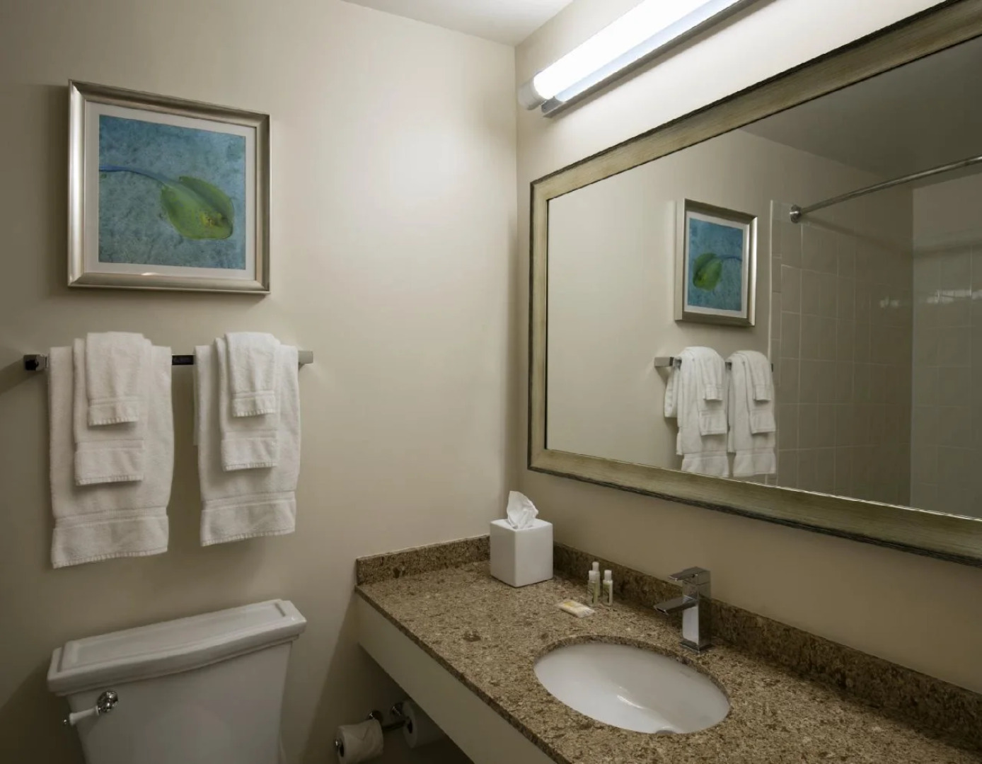 Cirque St. Armands Beachside