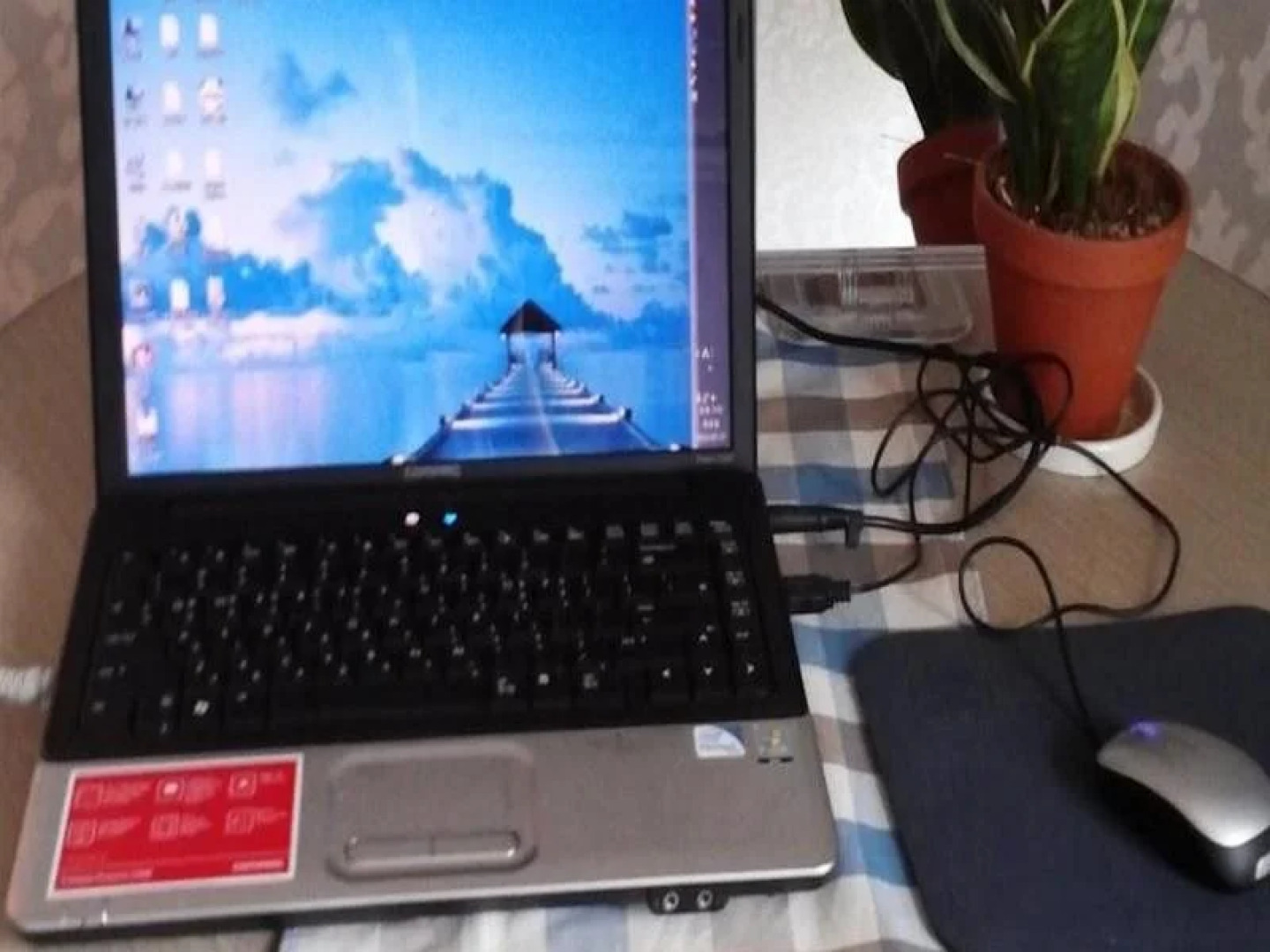 Mama Guesthouse Female Only (отель для женщин)