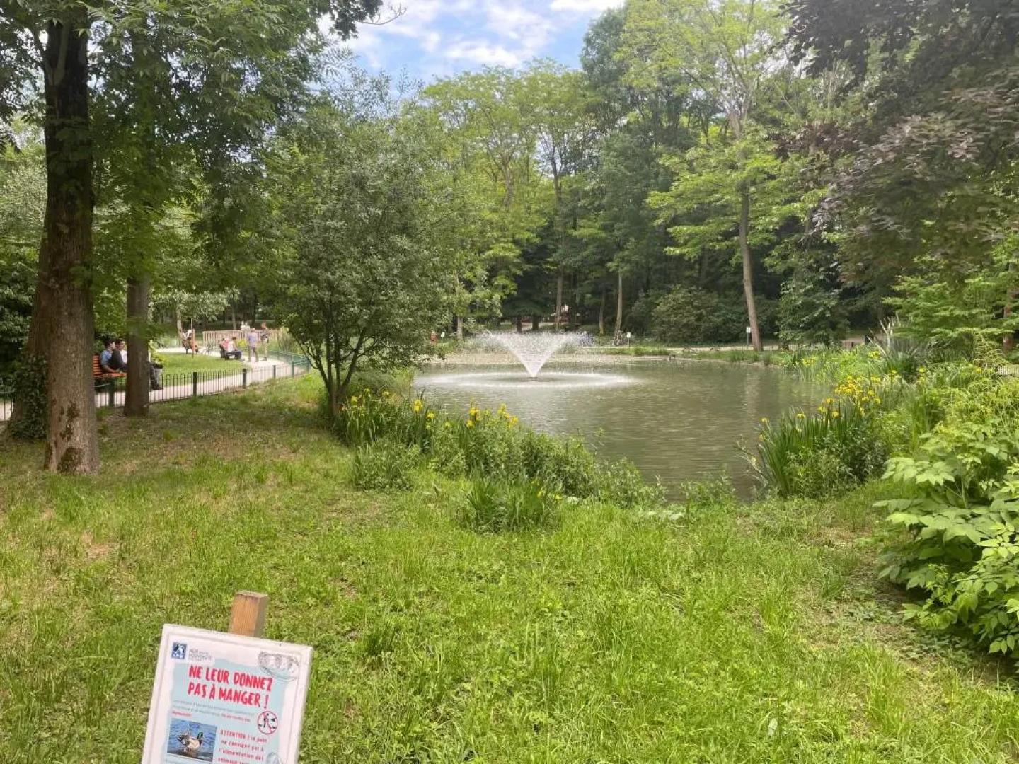 Sandy plaza supérieur