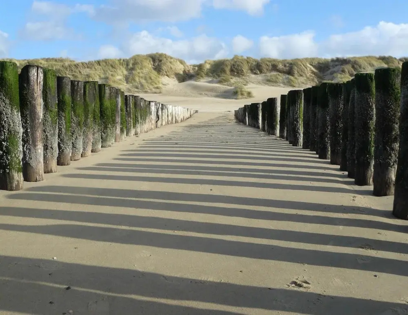 Luxurious Penthouse With 3 Bathrooms, Near the Sea