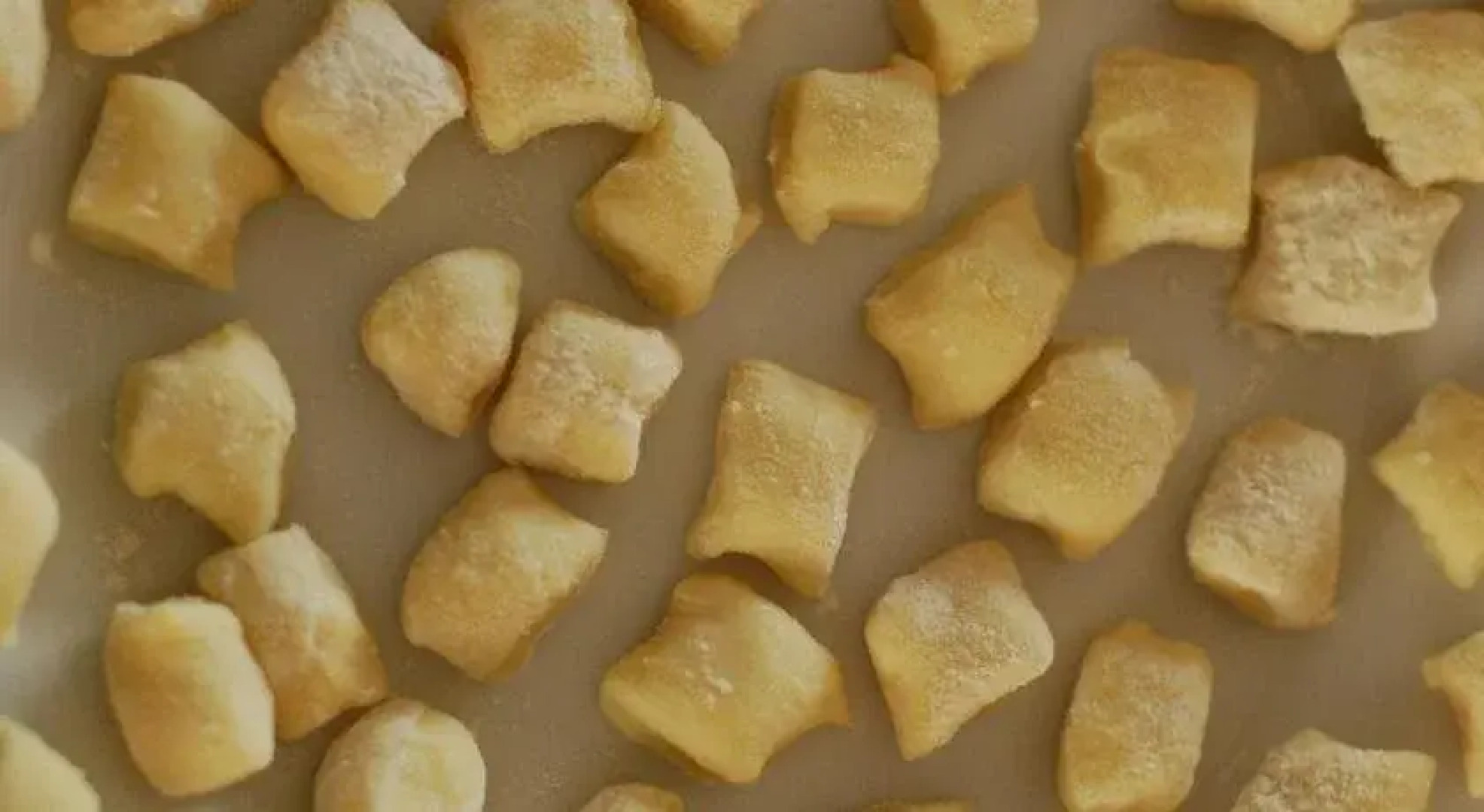 The Baobab Bush Lodge