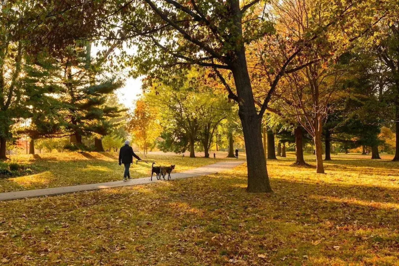 Bordeaux - Luxe LF Square Apts with Rooftop by Zencity