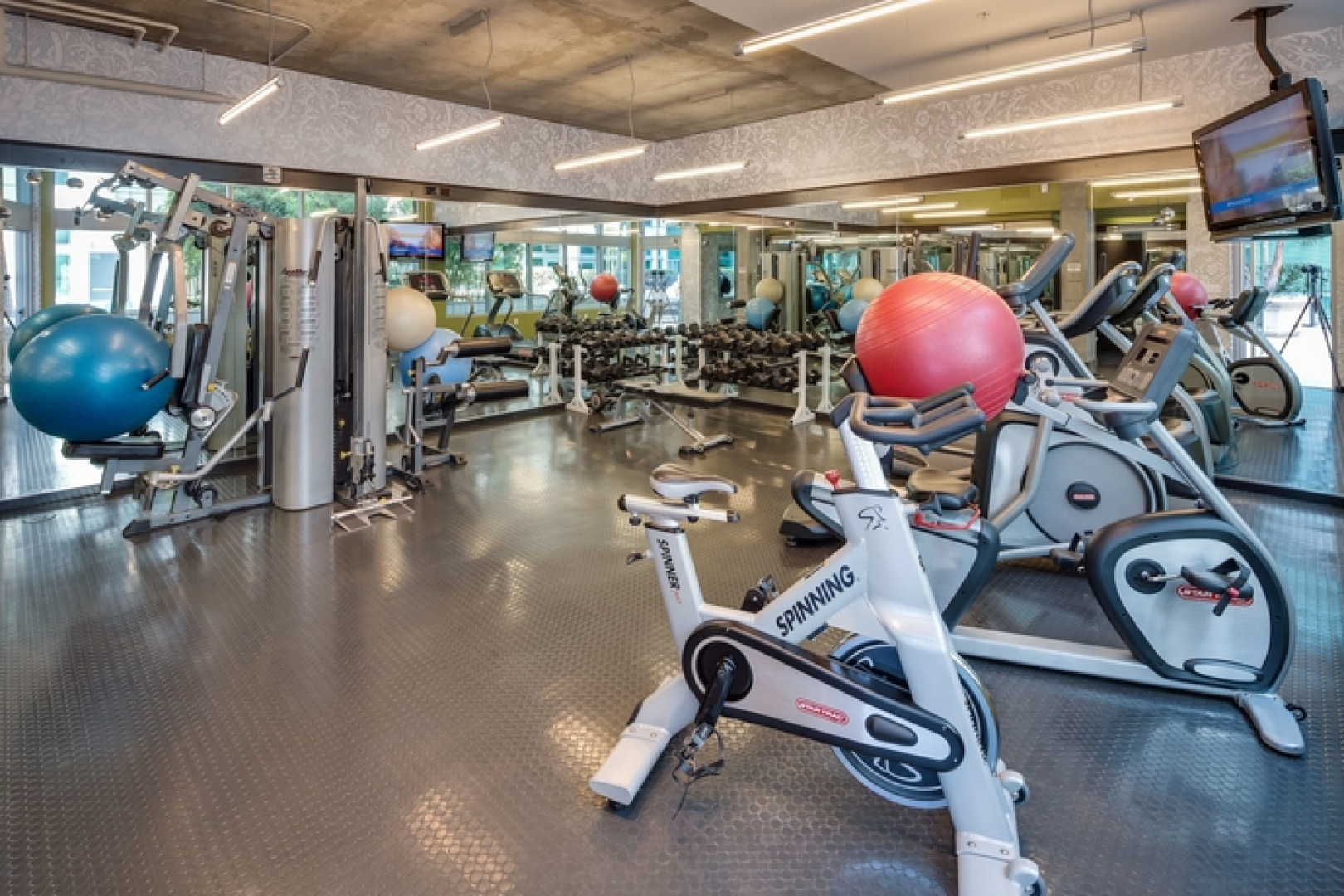 Stay Alfred on 10th Avenue