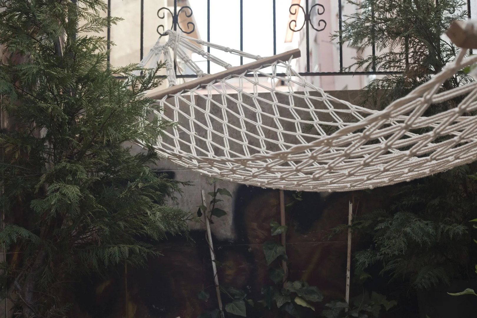 Veni Vidi Dormi - Hostel