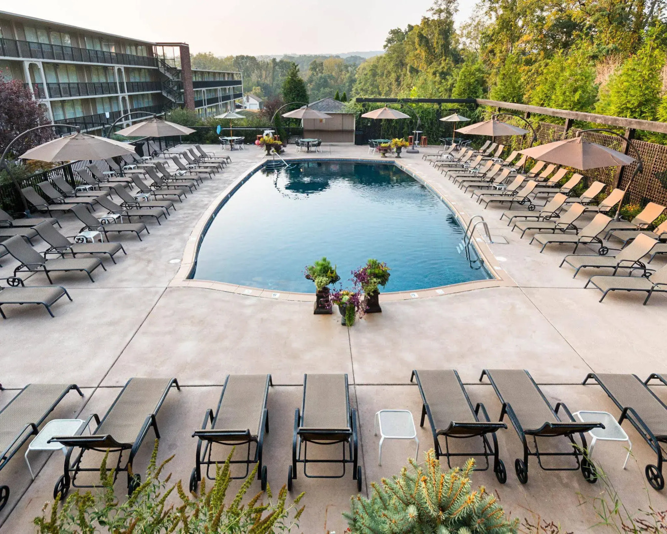 New Hope Inn & Suites