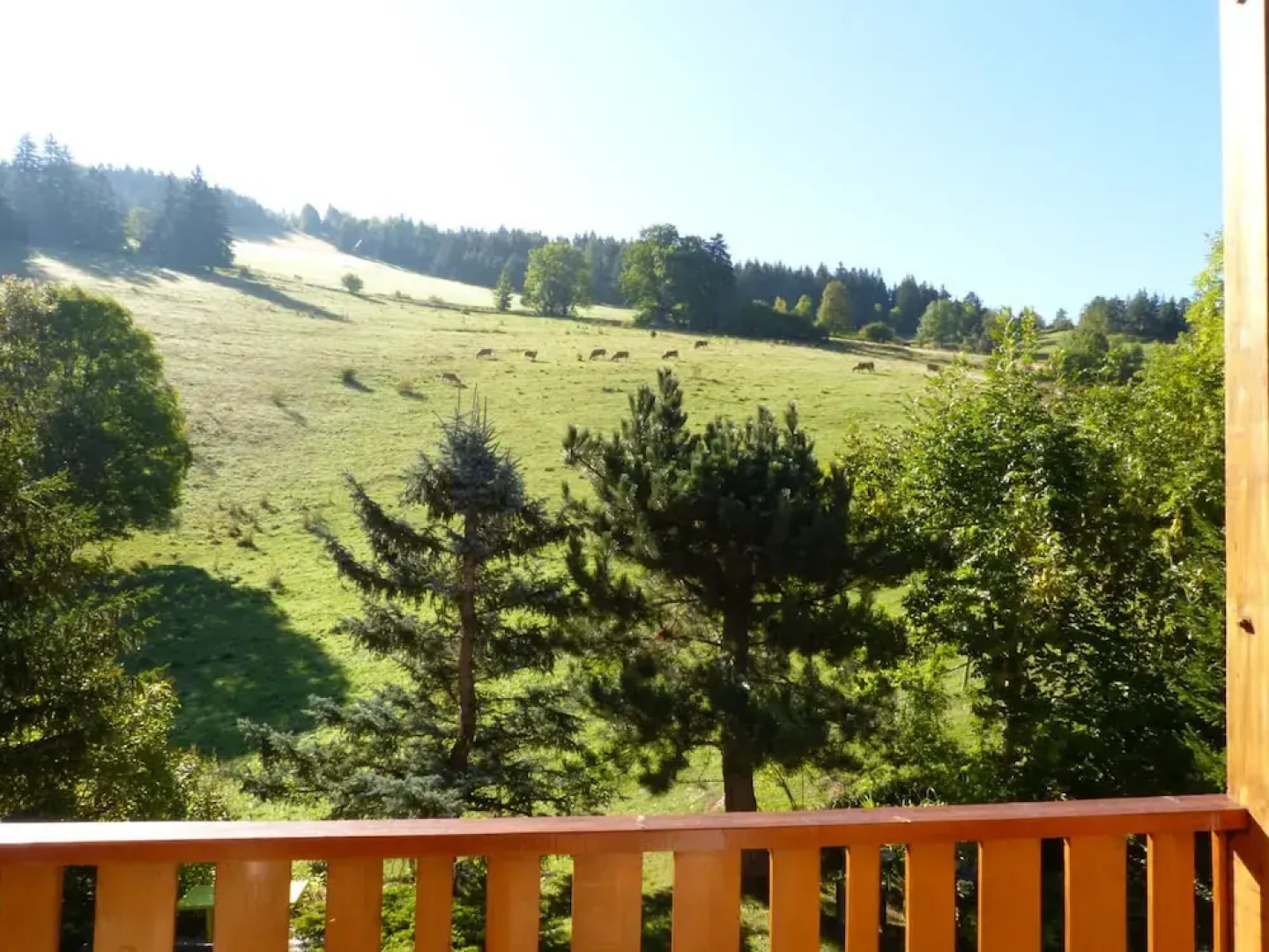 Les gites des Cochettes 2