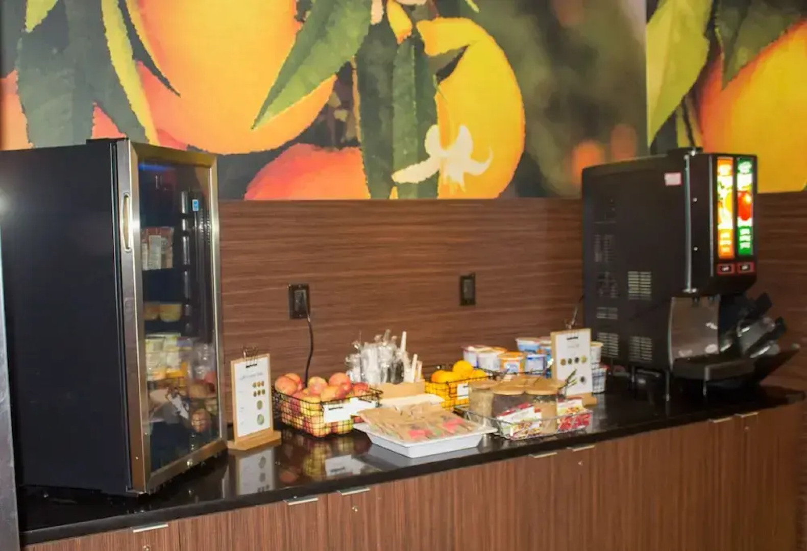 Fairfield Inn & Suites Geneva Finger Lakes