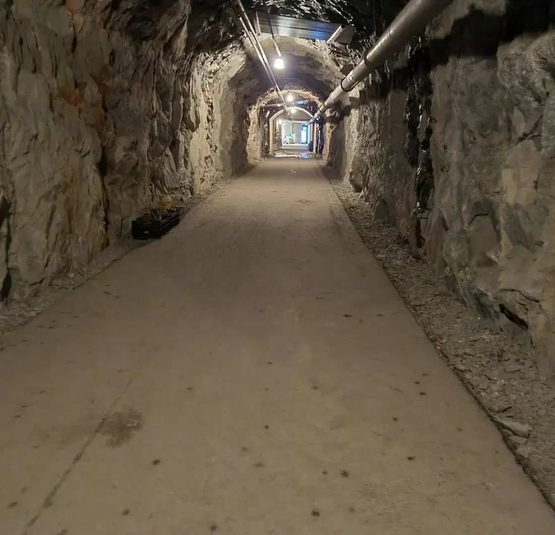 Cave Retreat - Sleeps 2 - Pets - Parking - Wifi