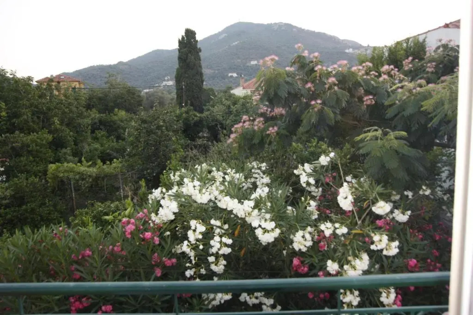 Sappho Studios