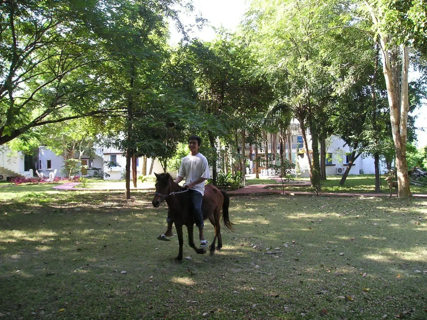 Scenic Riverside Resort