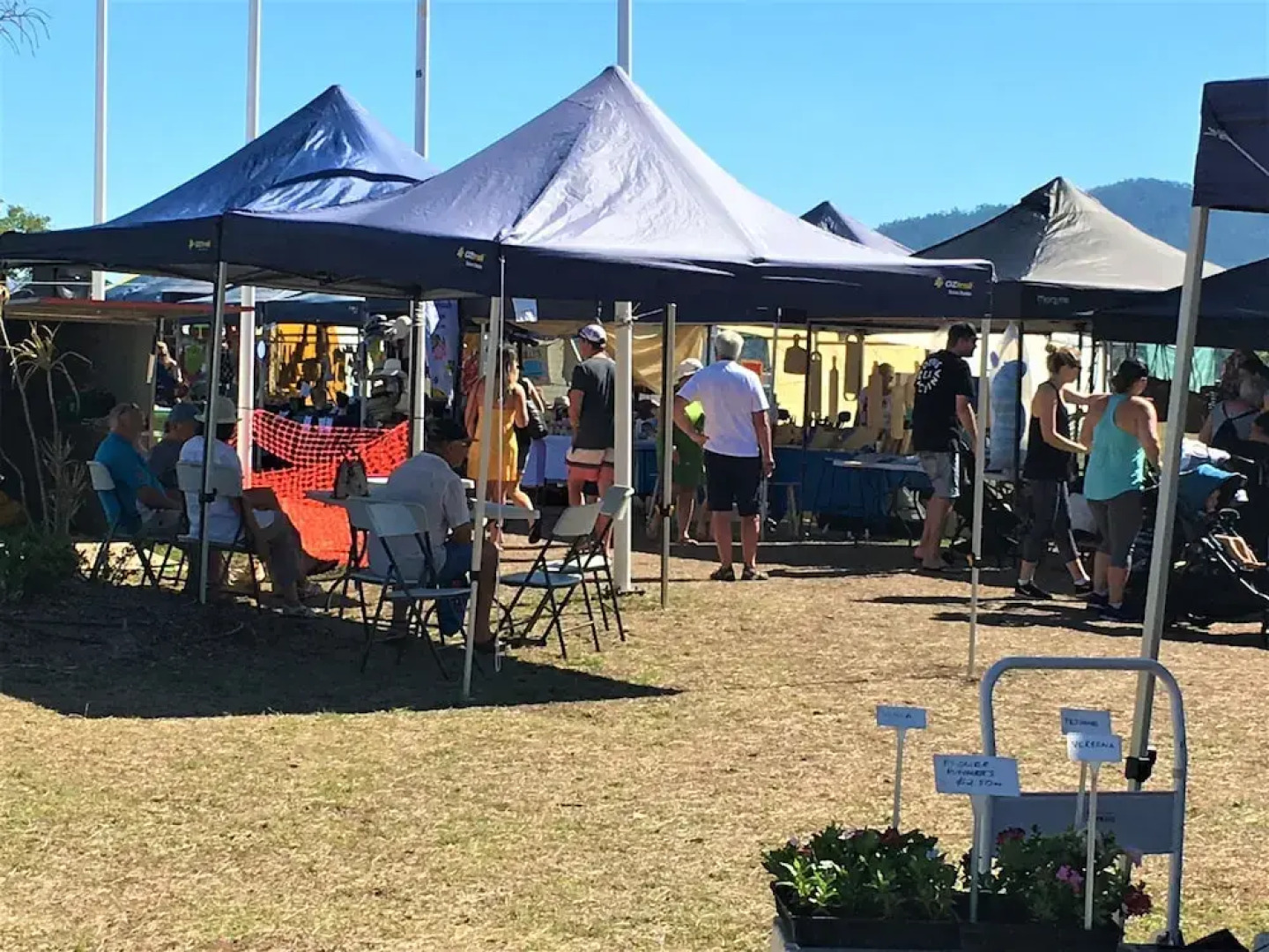 Palm Grove Rainforest Retreat