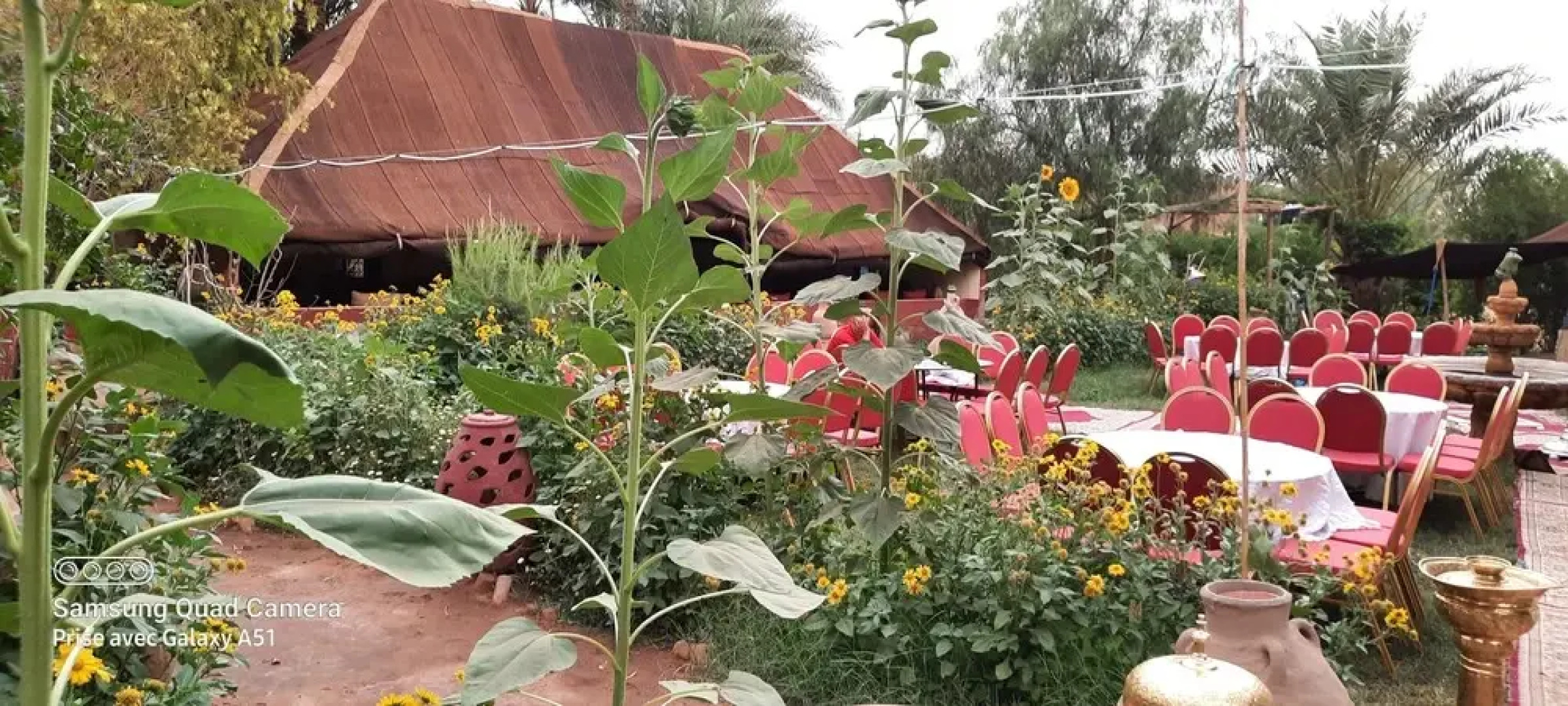 Room in Guest Room - Paradise in the Southern Desert Morocco
